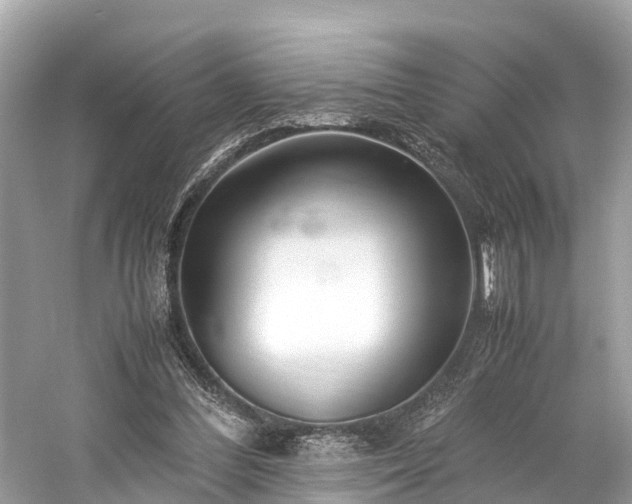 X0000059850300200510241511