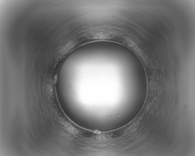 X0000059850305200510241511