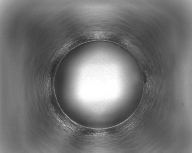 X0000059850306200510241511