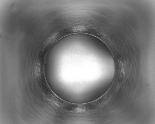 X0000059850308200510241511