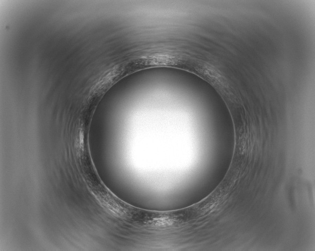 X0000059850310200510241511