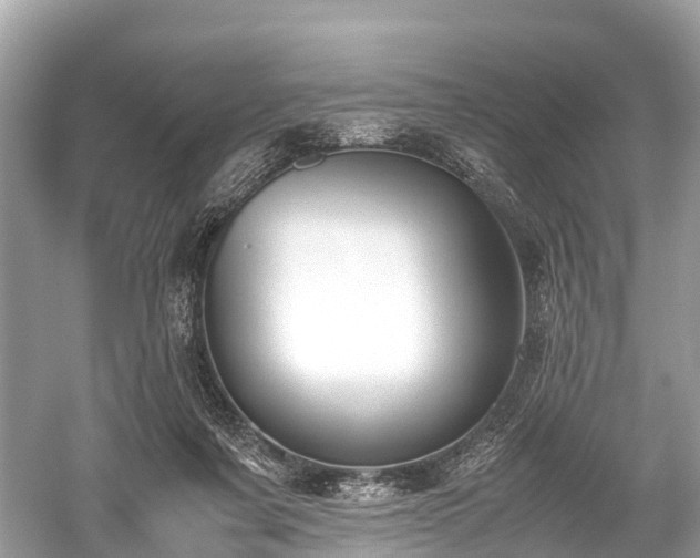 X0000059850311200510241511