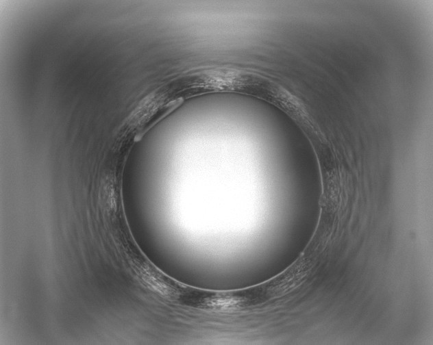 X0000059850313200510241511
