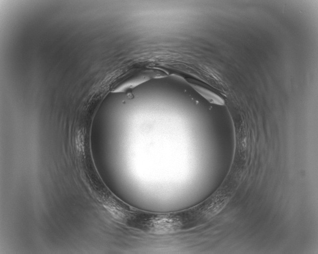 X0000059850315200510241511