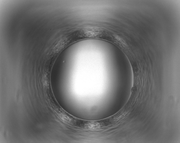 X0000059850317200510241511