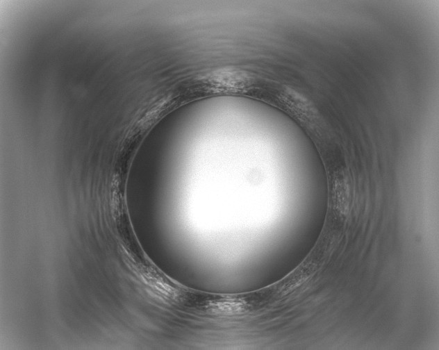 X0000059850318200510241511