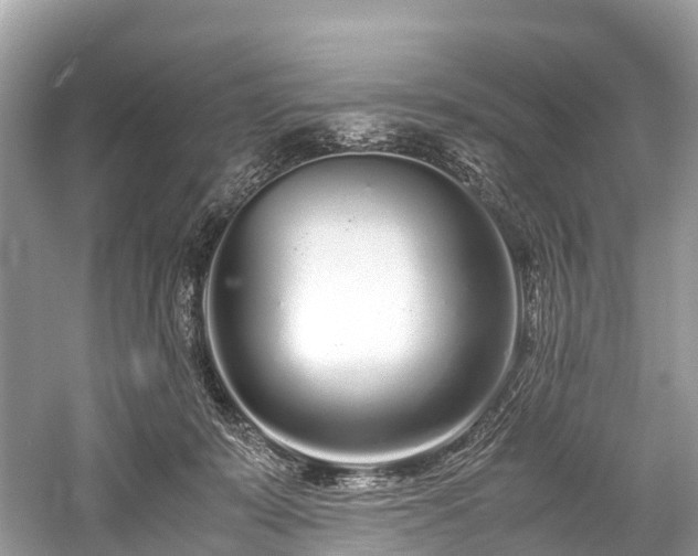 X0000059850319200510241511