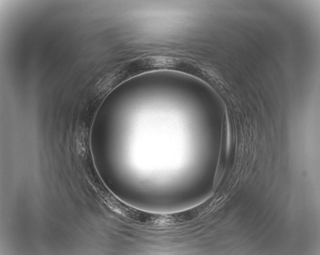 X0000059850325200510241510