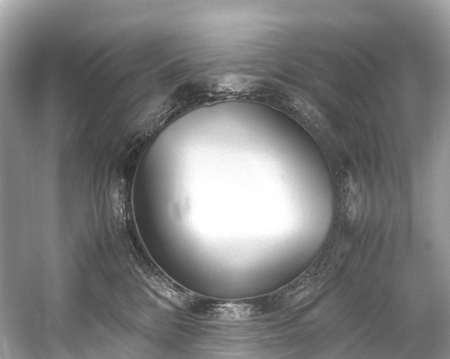 X0000059850328200510241510