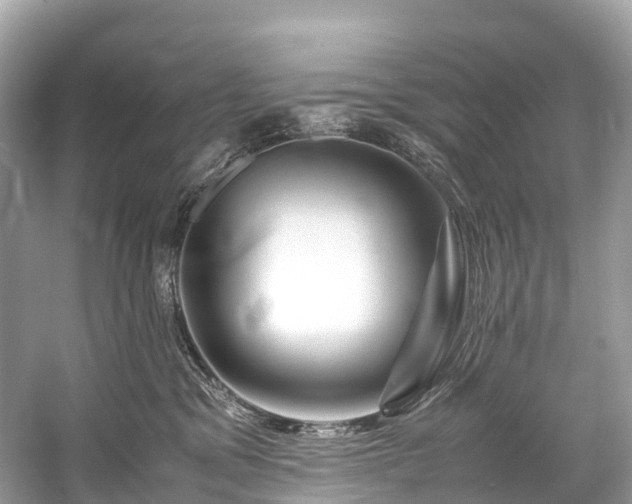 X0000059850329200510241510