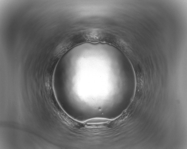 X0000059850331200510241510