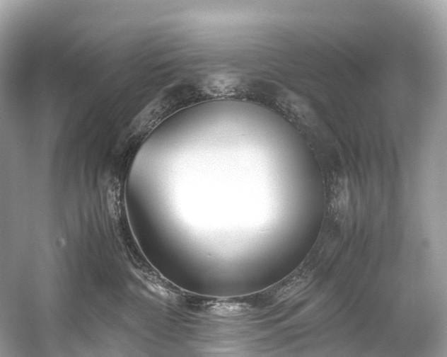 X0000059850332200510241510