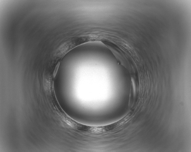 X0000059850333200510241510
