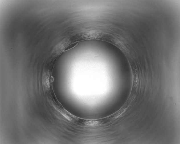 X0000059850334200510241510