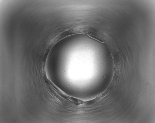 X0000059850335200510241510