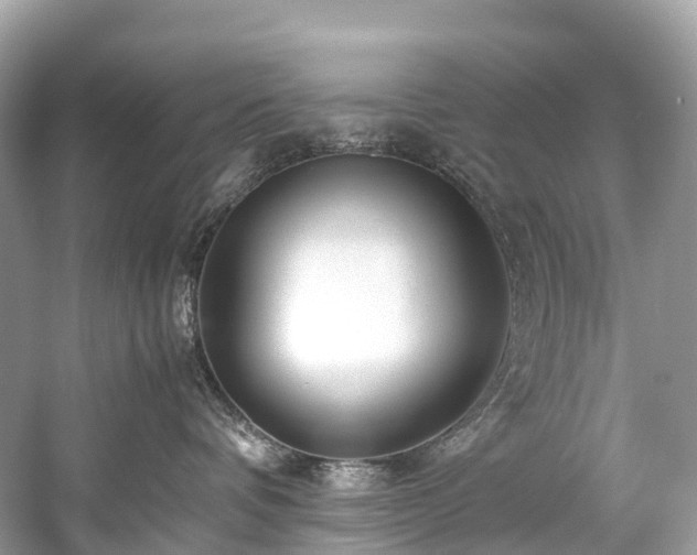 X0000059850336200510241510