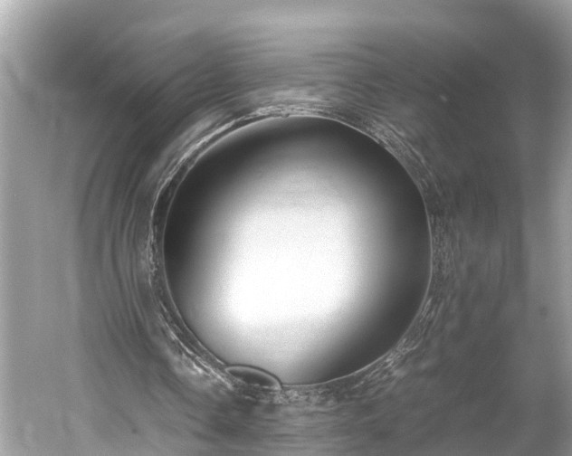 X0000059850338200510241509