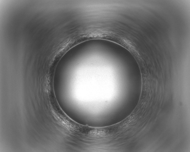 X0000059850354200510241510