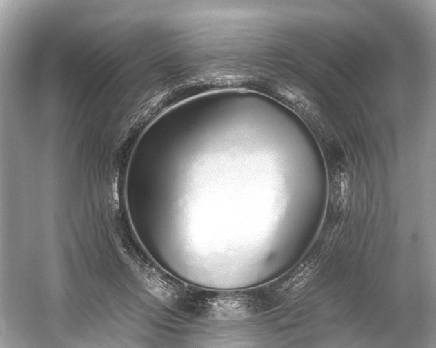 X0000059850358200510241510