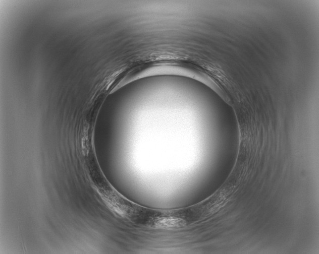 X0000059850360200510241510