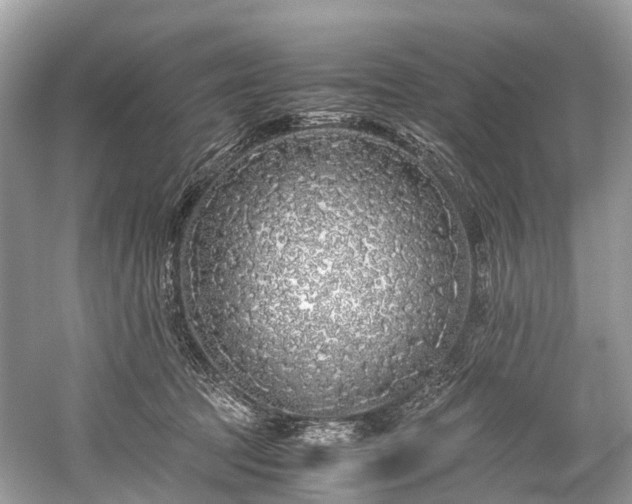 X0000059850369200510241510