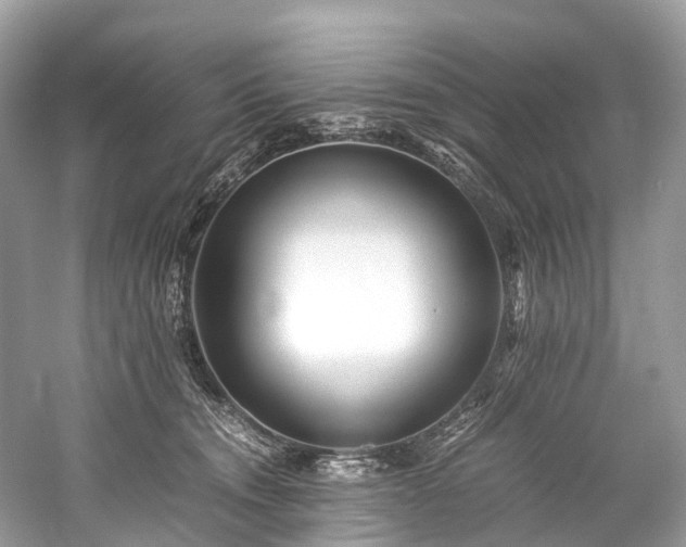 X0000059850372200510241510