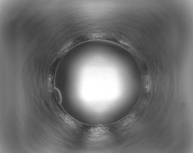 X0000059850378200510241510