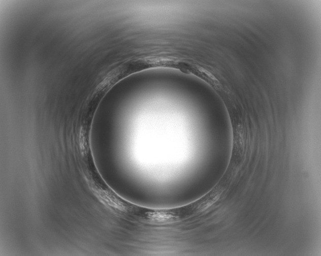 X0000059850380200510241510