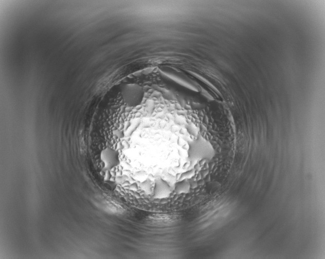 X0000059850381200510241510