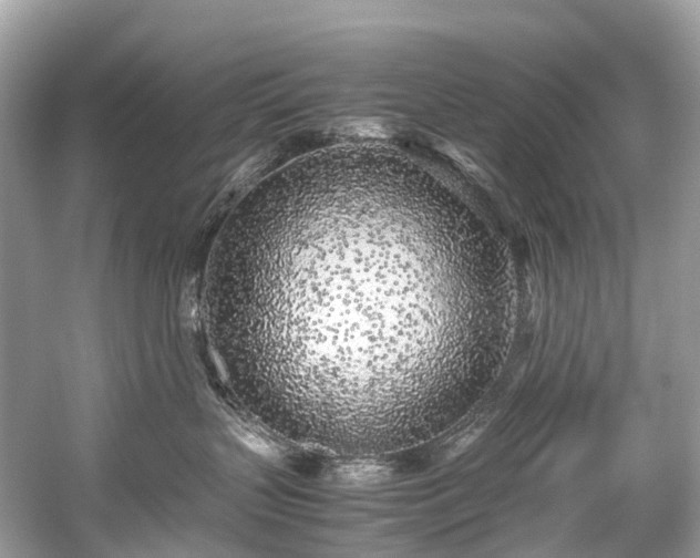 X0000059850383200510241510