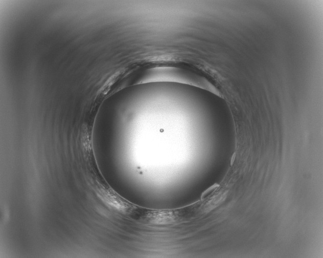 X0000059850384200510241510