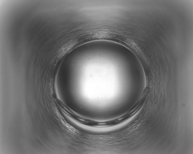 X0000059850393200510241509