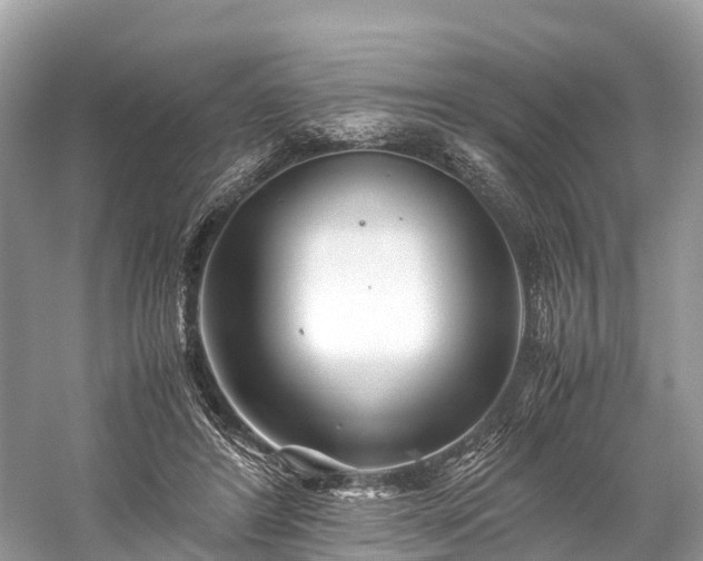 X0000059850404200510241509