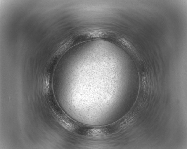 X0000059850406200510241509