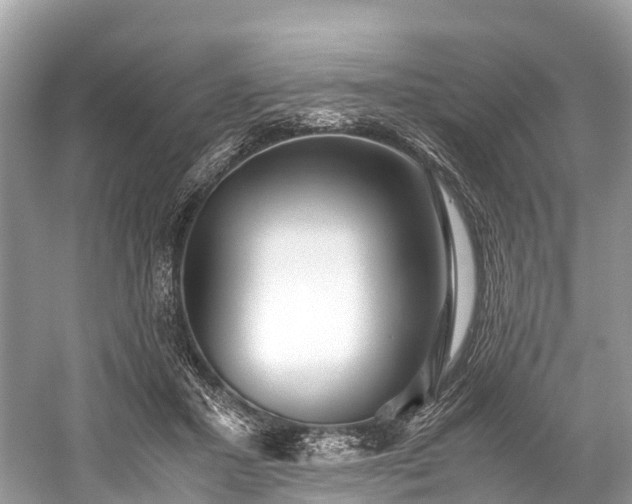 X0000059850407200510241509