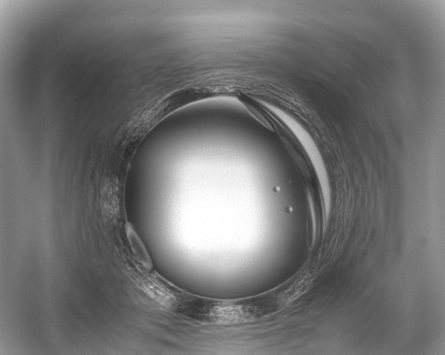 X0000059850413200510241509