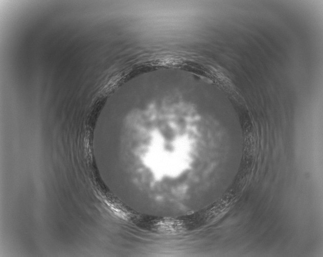 X0000059850415200510241509