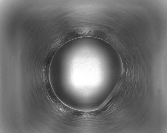 X0000059850416200510241509