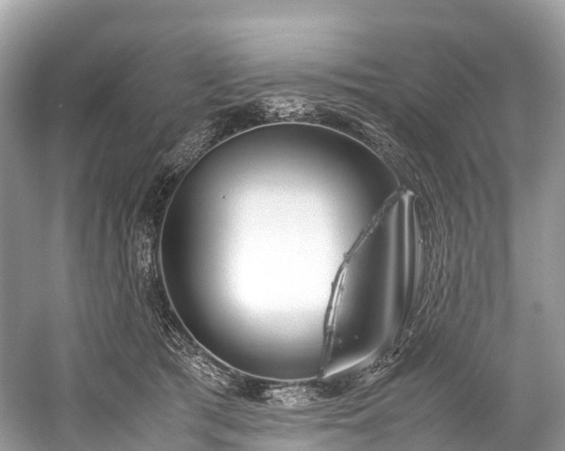X0000059850417200510241509