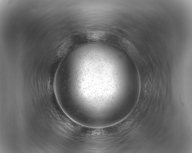 X0000059850420200510241509
