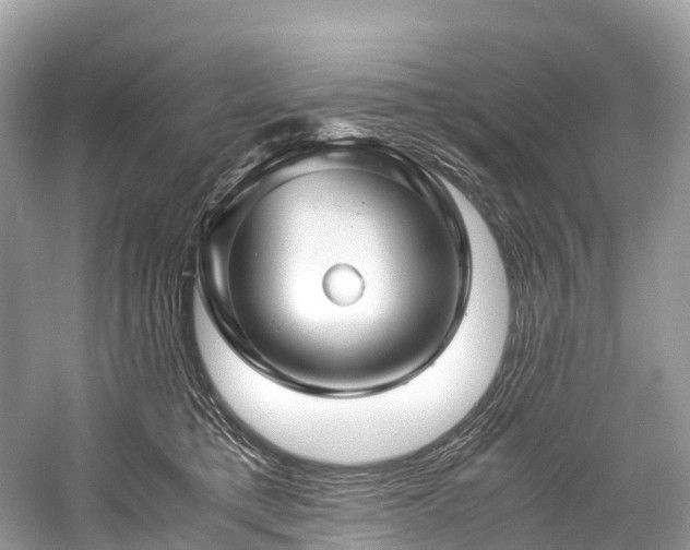 X0000059850421200510241509