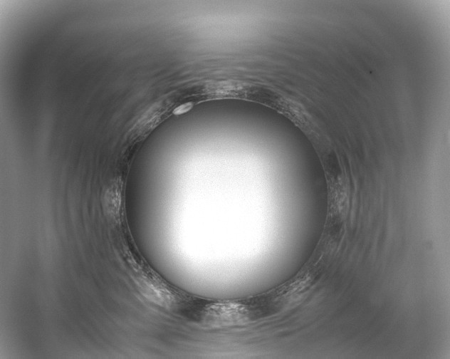 X0000059850427200510241509