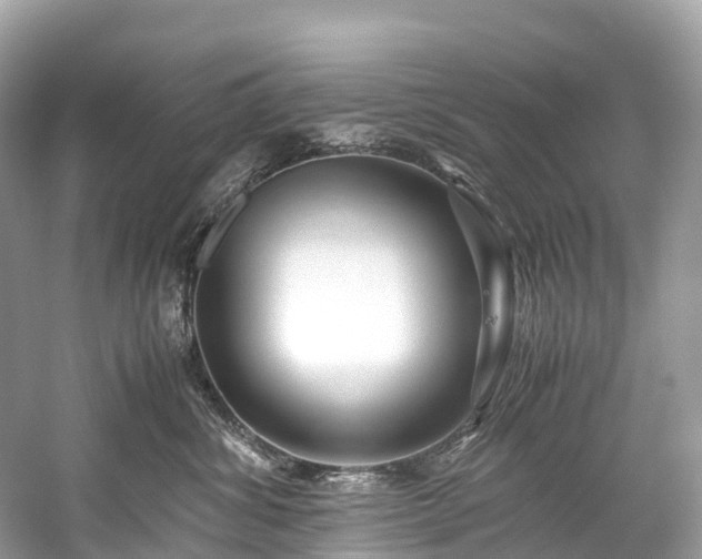 X0000059850428200510241509