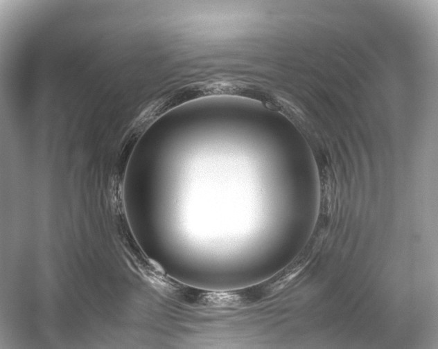 X0000059850429200510241509