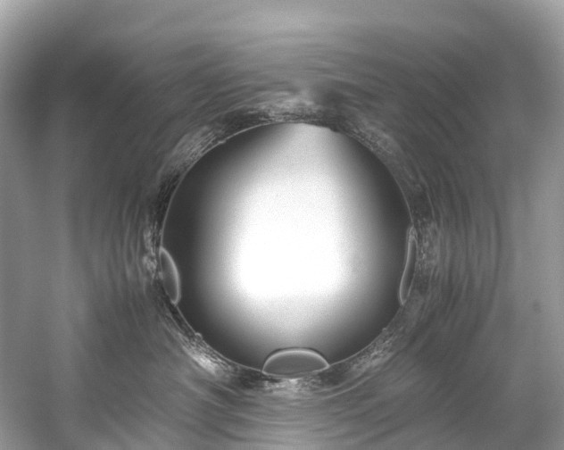 X0000059850430200510241509