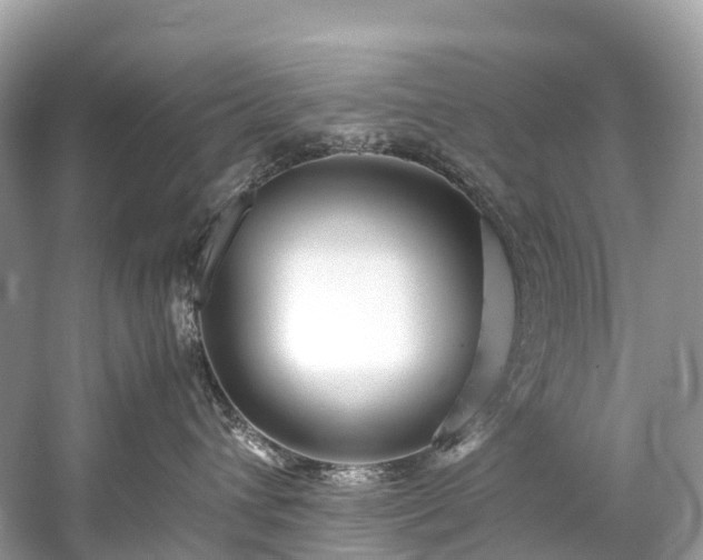 X0000059850432200510241509