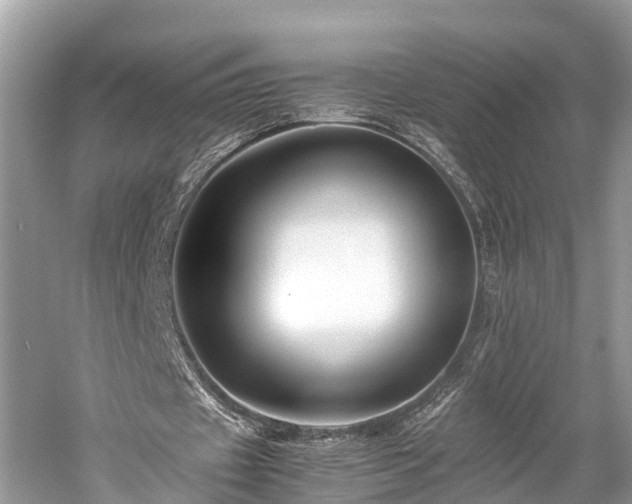 X0000059850433200510241508
