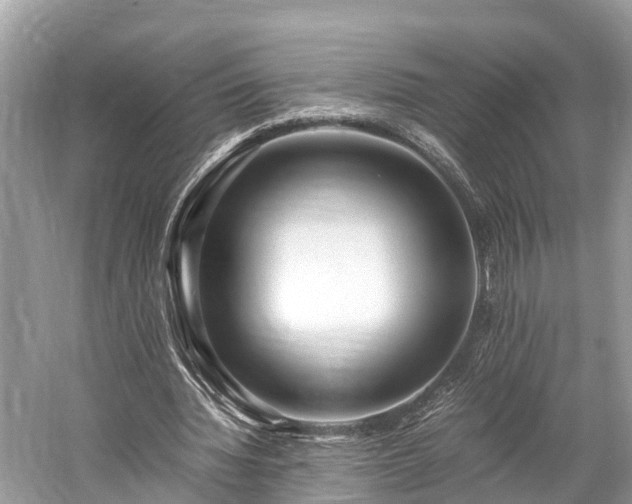 X0000059850436200510241508