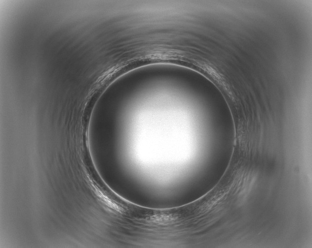 X0000059850445200510241508