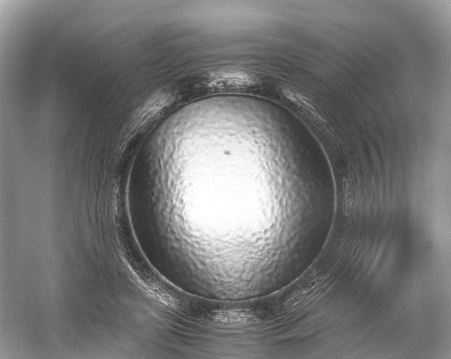 X0000059850451200510241508